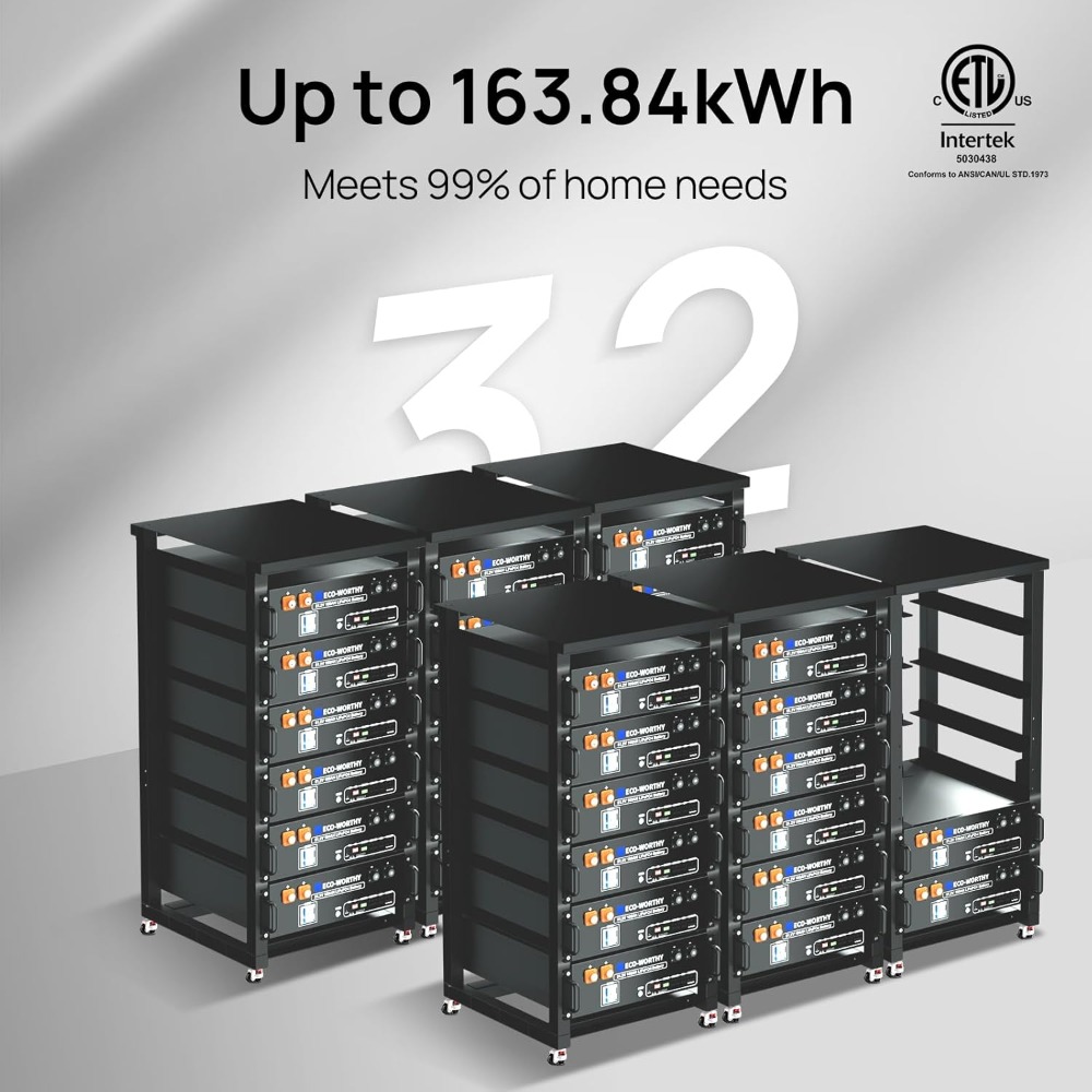 48V 100Ah LiFePO4 Lithium Batt - Energy Storage Rack review and price