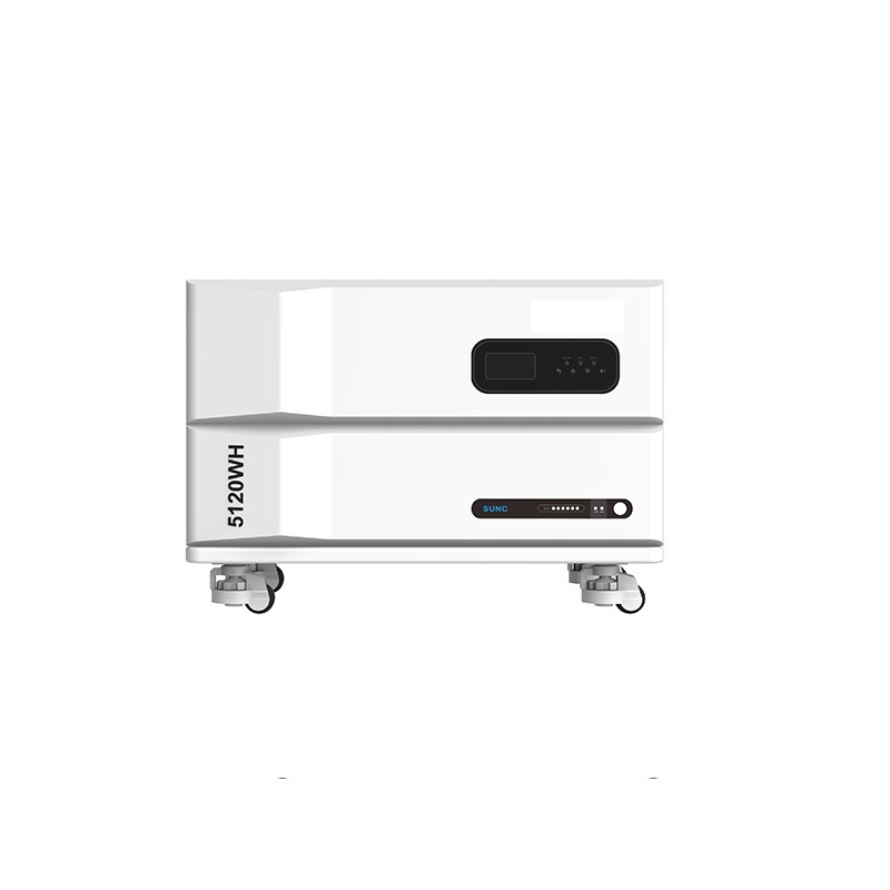 51.2V 100AH LiFePO4 Battery So - Energy Storage Rack review and price